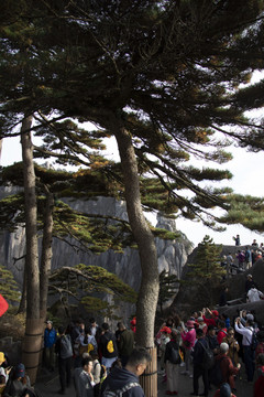 登黄山天下无山