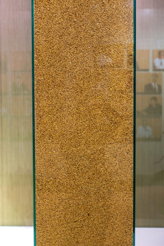 中国农业博物馆水稻种子秋光标本