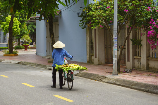海阳省推自行车买水果的越南妇女