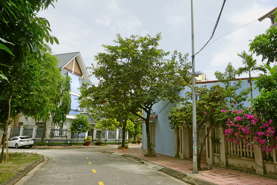 越南海阳市城市街道