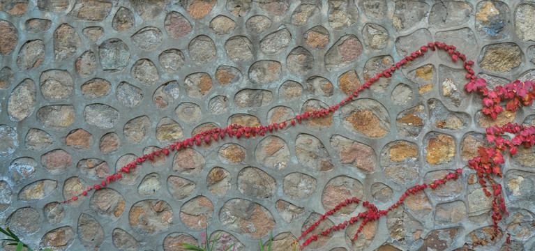 红叶石墙