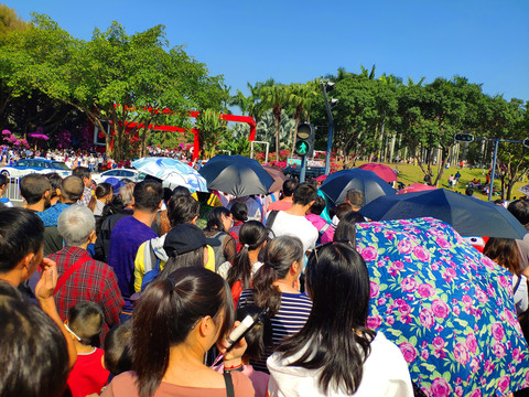 拥堵的斑马线