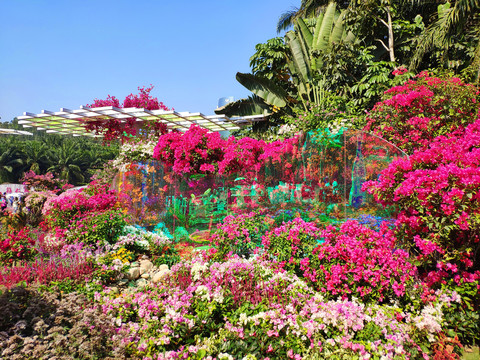 鲜花背景