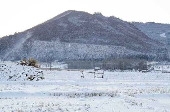 雪景