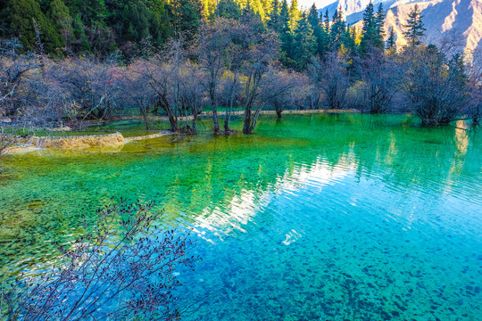 黄龙风景区五彩池