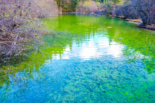 黄龙风景区