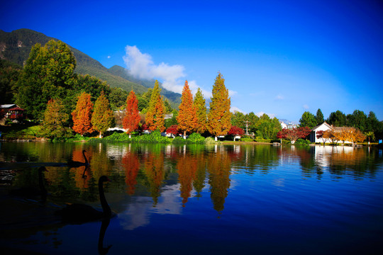 大理大学美景
