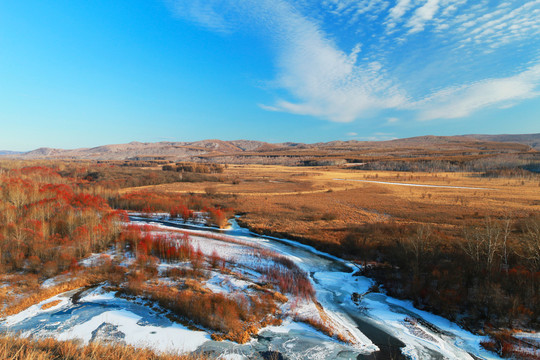 冰河树林雪景