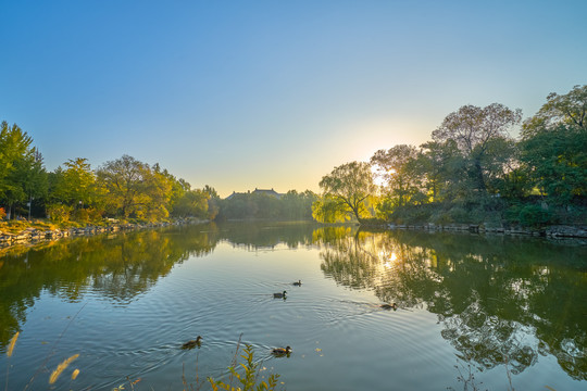 北京大学未名湖高清