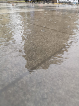 雨水淋湿