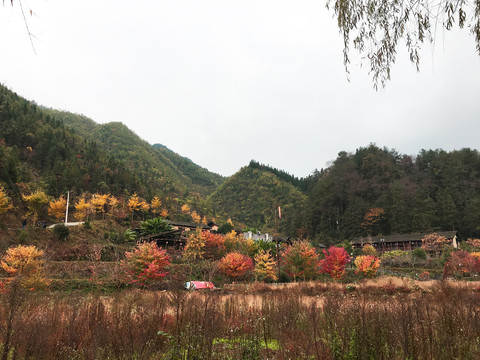 秋天的村庄