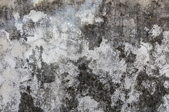 水泥墙
