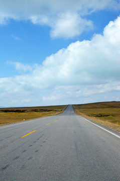 高原公路