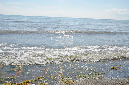 青海湖边