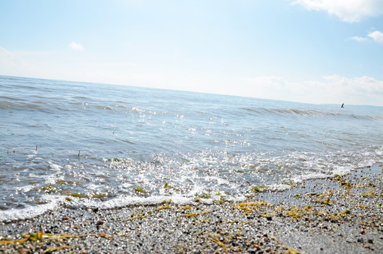 青海湖沙滩