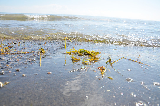 青海湖边