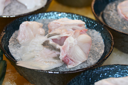 鲨鱼