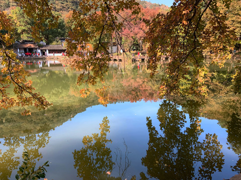 苏州天平山枫叶