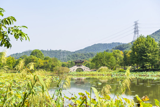 萧山湘湖景观
