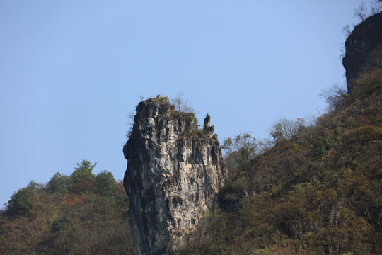 舞阳河风光