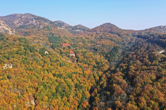 山东枣庄莲青山森林公园美丽秋景