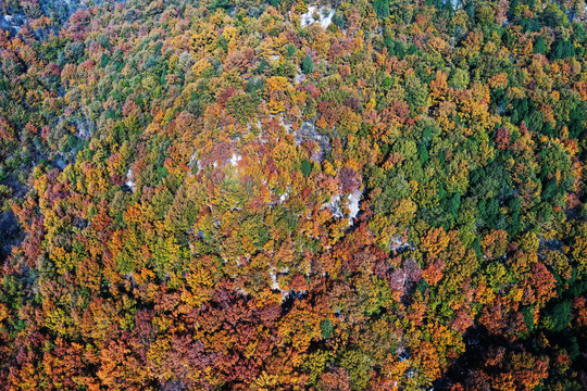 山东枣庄莲青山森林公园美丽秋景