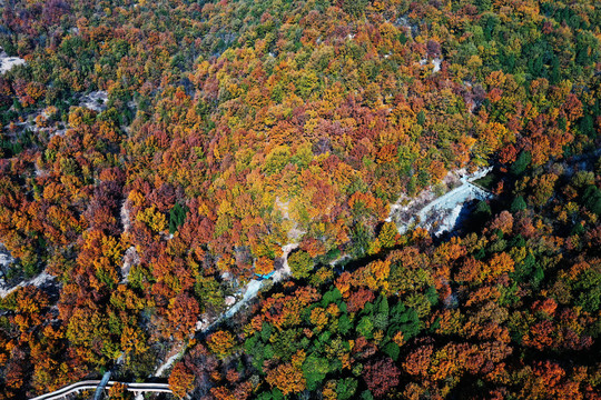 山东枣庄莲青山森林公园美丽秋景