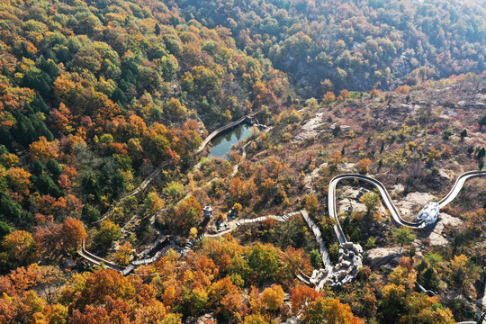 山东枣庄莲青山森林公园美丽秋景