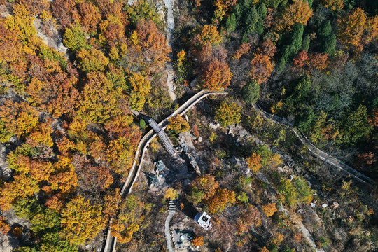 山东枣庄莲青山森林公园美丽秋景