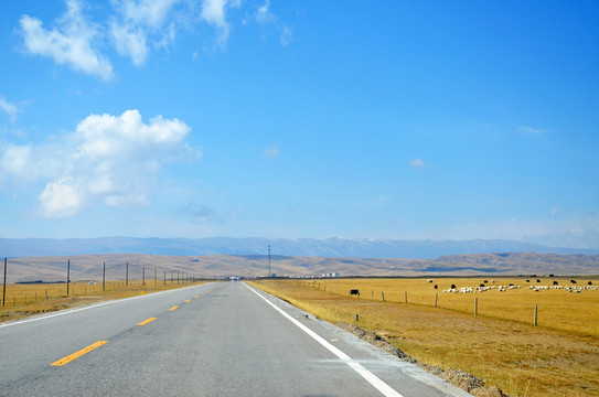 高原公路