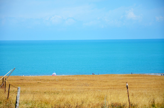 青海湖边