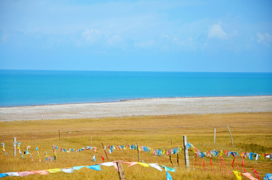 青海湖边牧场