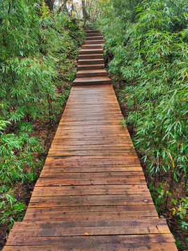 龙苍沟景区木栈道