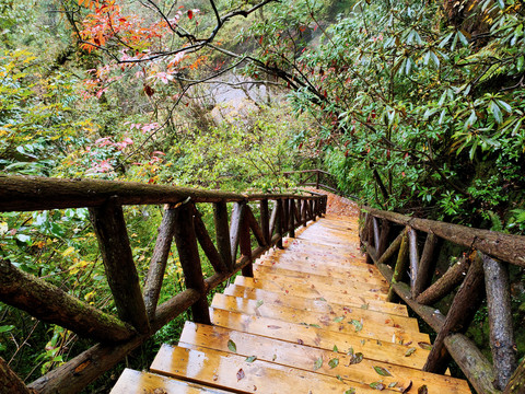 龙苍沟景区木栈道