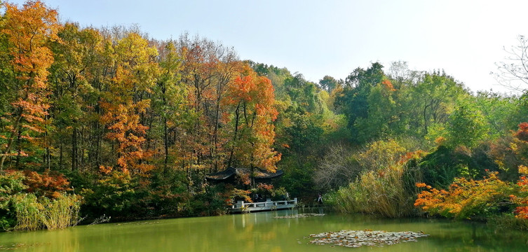 南京栖霞山