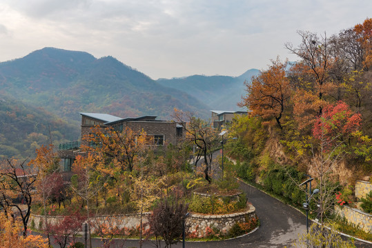 博山姚家峪桃源小镇博山