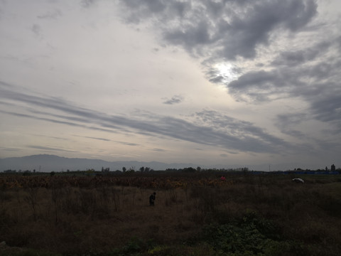 田野