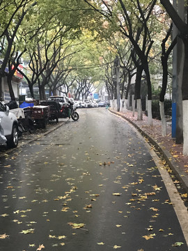 秋雨中的小路