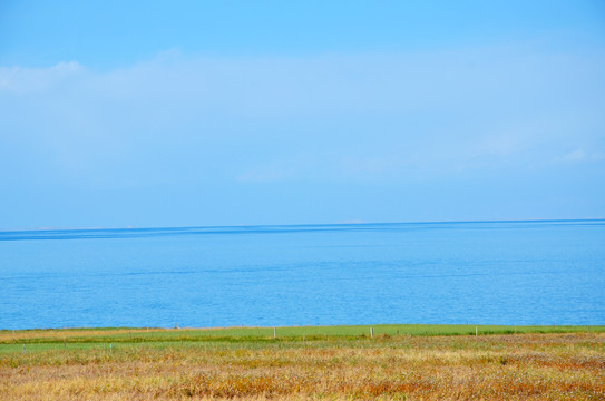 青海湖