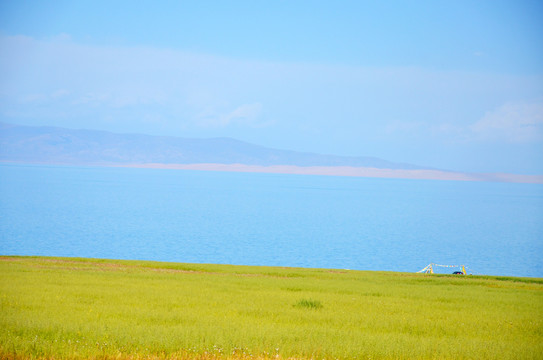 青海湖