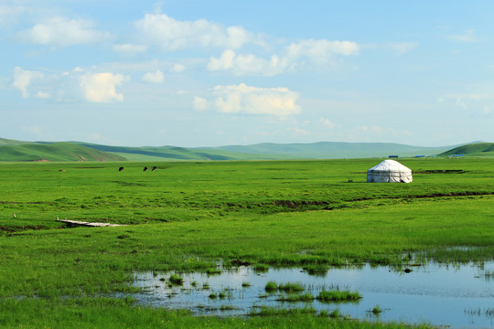 绿色牧场蒙古包