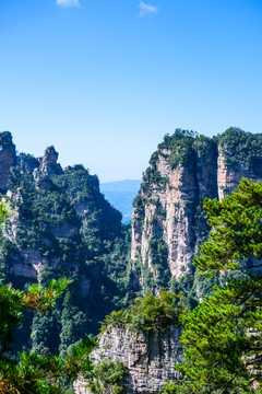 张家界武陵源袁家界自然景观