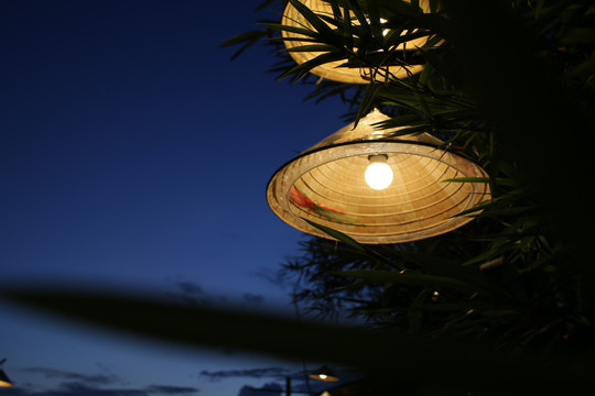 夜景灯越南文化