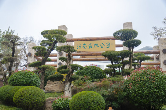 济南森林公园