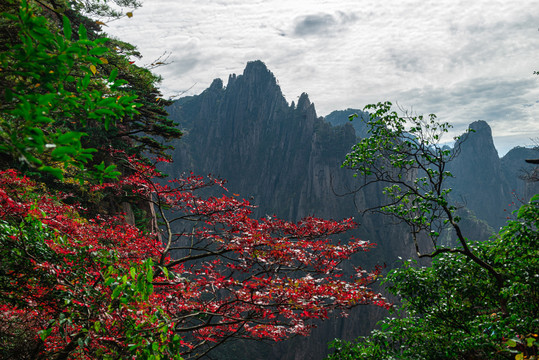 黄山秋色