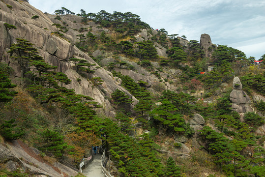 黄山风光