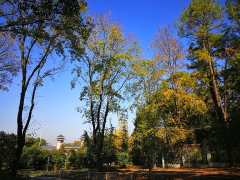 磨山公园