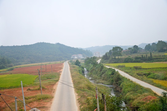 道路