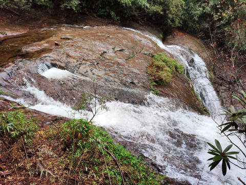 龙苍沟溪流