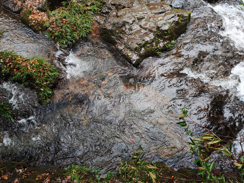 龙苍沟溪流